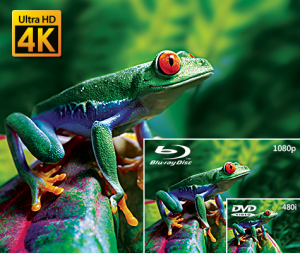 PDVD_02