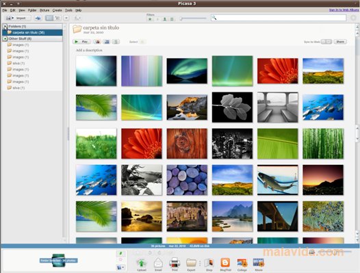 تحميل برنامج مستعرض الصور بيكاسا آخر اصدار